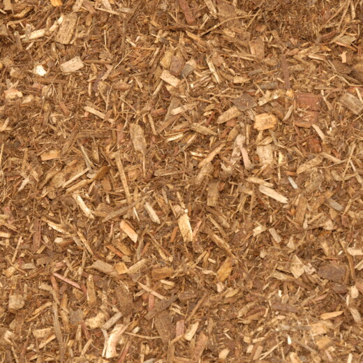 Cedar