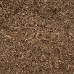 Mushroom Soil